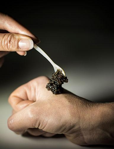 cucharada de caviar sobre un puño Caviar sobre puño
